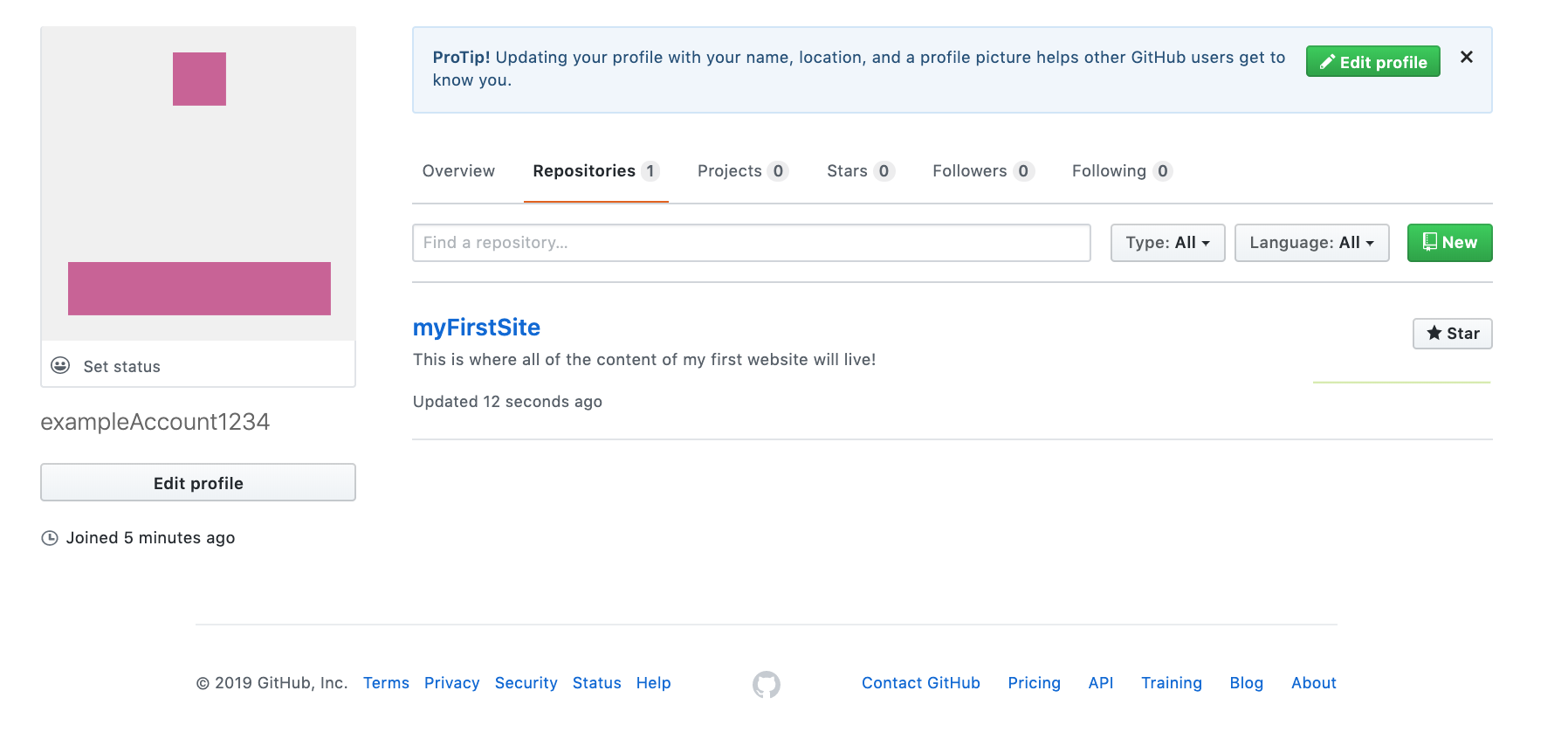 primeiro perfil no github